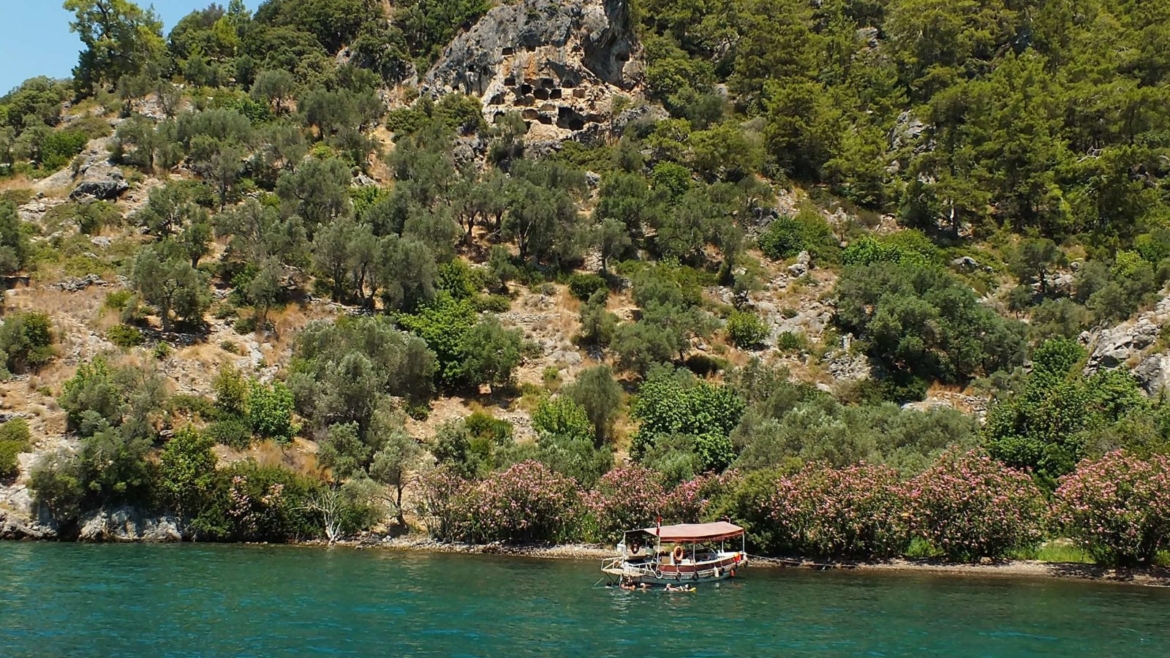 Bedri Rahmi (Taşyaka) Koyu